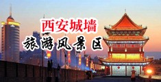 黄片一二三国广中国陕西-西安城墙旅游风景区